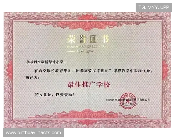 问鼎官网登录指南详解，帮助用户快速注册登录实现高效操作