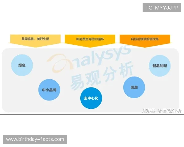 世界杯新西兰队最新战况分析与未来晋级前景全面解读